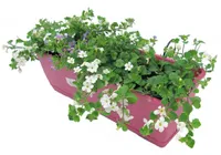 RÕDUKAST + MET.KINNITUS 50CM TERRA KIT BIRKA