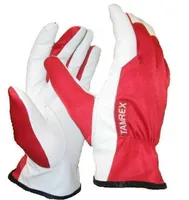 KINDAD KITSENAHAST 10