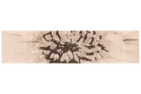 KERAAMILINE DEKOORPLAAT GOLDEN TILE ZEBRANO BEIGE 6X25