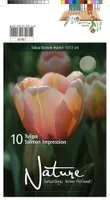 LILLESIBUL TULP DWH SALMON IMPRESSION 10TK PAKIS