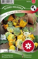 LILLESEEMNED DEKORATIIVKÕRVITS "CROWNS OF THORN" 7G/PK