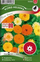 LILLESEEMNED SAIALILL "FIESTA GITANA" 7G/PK