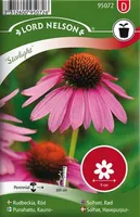 LILLESEEMNED PURPUR-SIILKÜBAR "STARLIGHT" 5G/PK