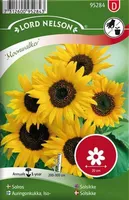 LILLESEEMNED PÄEVALILL "MOONWALKER" 5G/PK