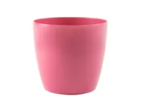 LILLEPOTIÜMBRIS BRUSSELS LÄIKIV 16CM FUKSIA