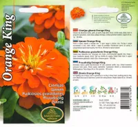 SEEMNED KURZEMES SEKLAS PRUUDISÕLG ORANGE KING 1 G