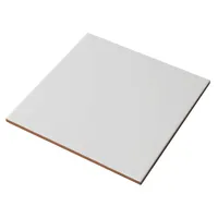 SEINAPLAAT MATT WHITE 20X20CM VALGE MATT 1M² PAKIS