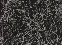 TAPEET P+S 13264-40 10,05X0,53M GRAPHICS ALIVE