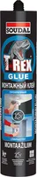 LÄBIPAISTEV LIIM SOUDAL T-REX 310ML 