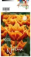 LILLESIBUL TULP CRISPA GUSTO 10TK PAKIS