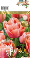 LILLESIBUL TULP DBL. LATE MENTON EXOTIC 10TK PAKIS