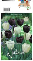 LILLESIBUL TULP TRT BLACK & WHITE MIX 10TK PAKIS