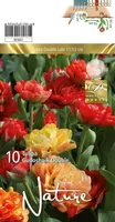 LILLESIBUL TULP DBL. LATE GUDOSHNIK DOUBLE MIX 10T
