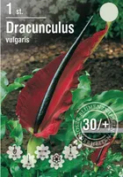 LILLESIBUL HARILIK LOHEVÕHK 1TK PAKIS