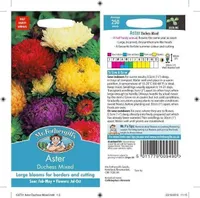 LILLESEEMNED ASTER DUCHESS MIX