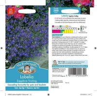 LILLESEEMNED LOBEELIA SAPPHIRE TRAILING