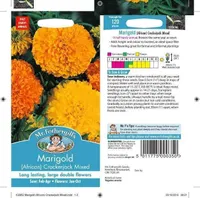 LILLESEEMNED PEIULILL CRACKERJACK MIX