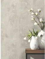 TAPPET P+S ORIGIN 42100-50 0,53X10,05M