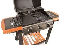 GAASIGRILL FIREPLUS CONTROL 3 10,5KW 3 PÕLETIGA