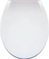 PRILL-LAUD CLAIRE VAIKSELT SULGUV