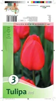 LILLESIBUL TULP DARWINI HÜBRIID PUNANE 3TK PAKIS
