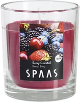 LÕHNAKÜÜNAL KLAASIS SPAAS MARJAKOKTEIL Ø70X77MM 25H