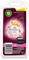 LÕHNAVAHA TÄIDE AIR WICK SUMMER DELIGHT 69G