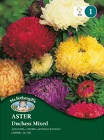 LILLESEEMNED MR FOTHERGILL’S AEDASTER DUCHESS SEGU