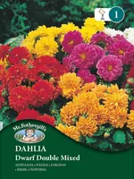 LILLESEEMNED MR FOTHERGILL’S AEDDAALIA DWARF DOUBLE SEGU