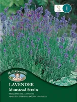LILLESEEMNED MR FOTHERGILL’S TÄHKLAVENDEL MUNSTEAD STRAIN