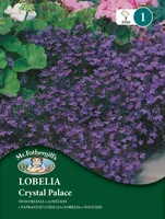 LILLESEEMNED MR FOTHERGILL’S SINILOBEELIA CRYSTAL PALACE