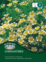 LILLESEEMNED MR FOTHERGILL’S DOUGLASI SOOLILL