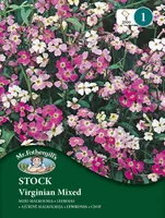 LILLESEEMNED MR FOTHERGILL’S MERI-MALKOLMIA VIRGINIAN SEGU