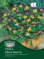 LILLESEEMNED MR FOTHERGILL’S AASKANNIKE JOHNNY JUMP UP