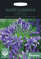 LILLESEEMNED JOHNSON’S LEMBELIILIA HEADBOURNE HÜBRIID