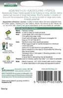 LILLESEEMNED JOHNSON’S LEMBELIILIA HEADBOURNE HÜBRIID