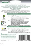 LILLESEEMNED JOHNSON’S ASTER MATSUMOTO VIOLET STRIPE