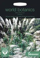 LILLESEEMNED JOHNSON’S HIINA SIIDPÖÖRIS