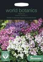 LILLESEEMNED JOHNSON’S NEMEESIA SEVENTH HEAVEN F1