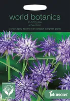 LILLESEEMNED JOHNSON’S SCHEUCHZERI RAPUNTSEL