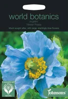 LILLESEEMNED JOHNSON’S EBAMAGUN TIBETAN POPPY