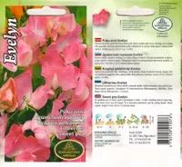 LILLESEEMNED KURZEMES SEKLAS LILLHERNES EVELYN 2G