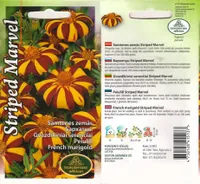 LILLESEEMNED KURZEMES SEKLAS PEIULILL STRIPED 0,3G