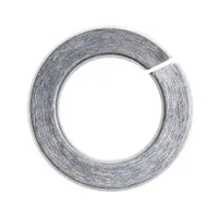 VEDRUSEIB M12 ZN DIN 127 10TK PAKIS