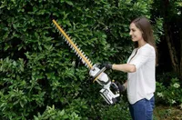 AKUHEKILÕIKUR H 5648 LI 48 V ALPINA GARDEN ILMA AKU JA LAADIJATA