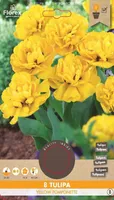 LILLESIBUL TOPELTÕIELINE TULP MADAL FLOREX YELLOW POMPONETTE 8TK PAKIS