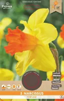 LILLESIBUL SUURE LISAKROONIGA NARTSISS FLOREX FORTUNE 5TK PAKIS