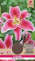 LILLESIBUL LIILIA 'STARGAZER' 3TK PAKIS