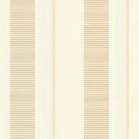 TAPEET 2421-22 1,06X10M