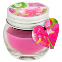 LÕHNAKÜÜNAL KLAASIS AIR WICK PINK SWEET PEA MINI 30G